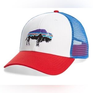 Patagonia Fitz Roy Bison Buffalo Trucker Hat